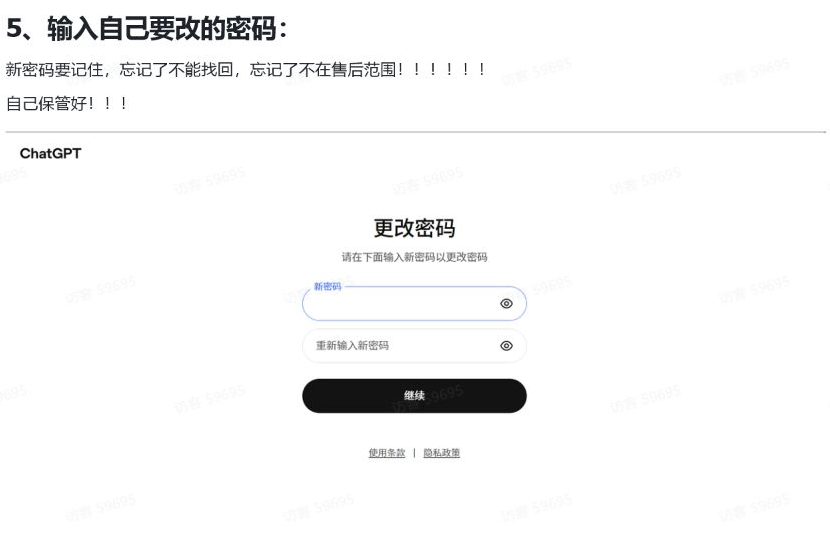 输入并确认新的 ChatGPT 密码